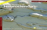 Revista Mexicana de Neurocienciaprevious.revmexneurociencia.com/wp-content/uploads/...Revista Mexicana de Neurociencia; 19,4 (2018):45-60 Vol. 19, issue. 4 (July-august 2018) Re e