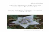Jaltomata anteropilosa (Solanaceae) una nueva especie del Norte …web.ccsu.edu/faculty/mione/pdf/Jaltomata anteropilosa.pdf · 2016. 3. 21. · 358 22 2 Julio - Diciembre, 2015 Leiva