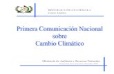 REPUBLICA DE GUATEMALA - UNFCCC · 2020. 3. 17. · Edición Lic. Carlos Cáceres Ruiz Ministro de Ambiente y Recursos Naturales Ing. ... Guatemalteca de Implementación Conjunta