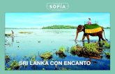 SRI LANKA CON ENCANTO - Los viajes de Sofía · 2020. 5. 4. · 23 JUNIO: HABARANA / HIRIWADUNA / POLONNARUWA / HABARANA ... Disfruta de la ciudad y los hermosos paisajes de los alrededores.