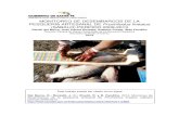 MONITOREO DE DESEMBARCOS DE LA PESQUERÍA ARTESANAL … · diciembre ya que la actividad pesquera no se interrumpió como consecuencia de haberse derogado la veda que regía para