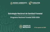 Estrategia Nacional de Sanidad Forestalsivicoff.cnf.gob.mx/ContenidoPublico/10 Material de... · 2020. 8. 11. · Oaxaca 85,702 34 Guerrero 52,463 21 Chihuahua 39,929 16 Sonora 23,297