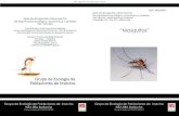 Serie de divulgación sobre insectos Cuadernillo nº 8 - Año ......Serie de divulgación sobre insectos de importancia ecológica, económica y sanitaria Serie de divulgación sobre