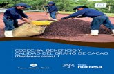 COSECHA, BENEFICIO Y CALIDAD DEL GRANO DE CACAO · Este proceso poscosecha del cultivo de cacao está compuesto por dos actividades fundamentales (fermentación y secado) que permiten