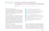 66 Cirrosis biliar primaria Colangitis esclerosante primaria · 2021. 1. 21. · Cirrosis biliar primaria. Colangitis esclerosante primaria 959 Manifestaciones clínicas Clásicamente