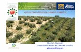 agroecologia.net · 2018. 3. 12. · propuestas complementarias de actuación: la mitigación y la adaptación. ... sustituir los fertilizantes químicos por orgánicos, principalmente.