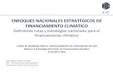 ENFOQUES NACIONALES ESTRATÉGICOS DE FINANCIAMIENTO … · 2021. 2. 20. · Definición de un enfoque estratégico: Rutas y estrategias nacionales para el financiamiento climático