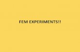 FEM EXPERIMENTS!!web.udg.edu/ice/jornades_tic2/presentacions/FEM... · 2012. 11. 13. · Exposició oral amb ajut del projector A partir de la informació trobada fem omplir la fitxa