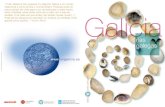 Gallego R as 2004 (Page 2 - 3) - Turismo de Galicia. - GALICIA · 2020. 9. 17. · Dentro desta Galicia œnica, pero plural nos seus h⁄bitos, espazos e costumes, as r™as ofrecen