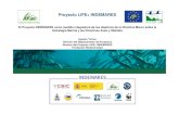 Proyecto LIFE+ INDEMARES - El...Corales de agua fría en el Cañón de Avilés Ostras subfosiles descubiertas en Chimeneas de Cádiz Ejecución Descubierta una nueva especie: Nidalia
