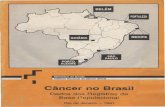 Câncer no Brasil - Ministério da Saúdebvsms.saude.gov.br/bvs/publicacoes/cancer_brasil_dados_base_pop… · Vemos assim que, apesar do reconhecimento das dificuldades aserem enfrentadas,