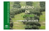 AFORO DE OLIVAR · 2013. 10. 21. · (1.323.199 ), equivalente al 44% de la producci44% de la producci óó n andaluza. Entre enero y julio de 2013enero y julio de 2013 se viene observando