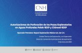 Presentación de PowerPoint - gob.mx · 2020. 10. 27. · Autorizaciones de Perforación de los Pozos Exploratorios en Aguas Profundas Polok-1EXP y Chinwol-1EXP Operador Petrolero: