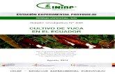 INilìP - Gob · 2018. 10. 15. · Regiones productoras de yuca en Ecuador Las principales zonas de producción de yuca se encuentran en la región Ama zónica, seguido por valles