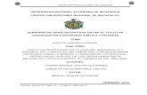 COSTO DE PRODUCCIÓN DE CONEJOS - UNAN-Managua · 2017. 10. 19. · costo de producciÓn de conejos autores: karina m. castro g. y carla p. martínez c. tema costos agropecuarios.