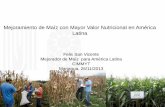 Mejoramiento de Maíz con Mayor Valor Nutricional en ...lac.harvestplus.org/wp-content/uploads/2015/02/...Mexico 125 33.6 30.0 112 36.12 6 Honduras 80 31.7 33.9 7.5 2.37 5 El Salvador