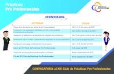 Prácticas Pre Profesionales - Gob · 2021. 2. 24. · Fin del XVI Ciclo de Prácticas Pre Profesionales 3 de mayo de 2021 Mayo a septiembre de 2021 25 de septiembre de 2021 CRONOGRAMA