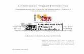 Universidad Miguel Hernández - 193.147.134.18193.147.134.18/bitstream/11000/3207/1/TD Morillas Barrio, César.pdf · puede ser presentado a la lectura y discusión ante tribunal