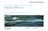 Carbon Disclosure Project Informe 2008 España (IBEX 35)ecodes.org/documentos/archivo/CDP_SpainReport.pdfCarbon Disclosure Project Informe 2008 España (IBEX 35) En representación