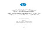 FACULTAD DE CIENCIA Y TECNOLOGÍA ESCUELA DE INGENIERÍA EN …dspace.uazuay.edu.ec/bitstream/datos/10762/1/16309.pdf · 2021. 5. 6. · facultad de ciencia y tecnologÍa escuela
