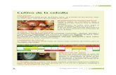Cultivo de la cebolla - Asturias...3 FICHAS.qxp_8 Maq ZOOGENÉTICOS 23/8/16 12:56 Página 14 INFORMACIÓN AGRÍCOLA Tecnología Agroalimentaria - n.º 17 15 Cultivo de la patata DURACIÓN