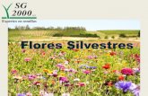 Flores Silvestres - sg-2000.com · • Son una mezcla clásica de flores silvestres que incluyen 15-20 especies aprox silvestres anuales y perennes, con una amplia gama de colores,