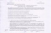 documentos.mercosur.int · 2021. 7. 9. · MERCOSUL MERCOSUR MERCOSUR, con base en los trabajos realizados por las delegaciones de Chile, Brasil, Perú y de Ios antecedentes existentes
