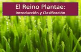 El Reino Plantae · 2019. 5. 22. · Reproducción sin agua: Gran ventaja! A diferencia de las briófitas y helechos, las plantas con semillas no requieren agua para la fertilización