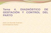 José Luis Guzmán Guerrero Universidad de Huelva · 2014. 7. 14. · Modalidades de examen: Vía externa (transabdominal) Vía rectal: para visualizar los ovariosy controlar la ovulación,