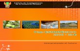Instituto de Investigaciones de la Amazonía Peruana - IIAP - Plan … · 2009. 9. 23. · Visión del desarrollo de la Amazonía peruana al 2021 15 ... soporte profesional de la
