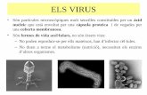 Inicio - ELS VIRUS...cèl·lules hoste parasitades i de glicoproteïnes, la síntesi de les quals està controlada pel genoma víric. – Funció de les glicoproteïnes: reconeixement