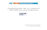 Implantación de un sistema ERP SAP en una empresa