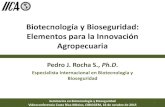 Biotecnología y Bioseguridad: Elementos para la Innovación ...