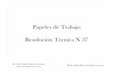Papeles de Trabajo Resolución Técnica N 37