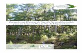 Lineamientos Técnicos de Manejo Forestal Sostenible para ...
