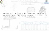 TEMA Nº19: CALIDAD DE ESTACIÓN - ÍNDICE DE SITIO (SITE …