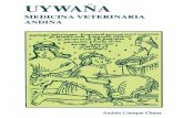 UYWAÑA - IECTA