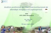 HSD OPS OMS Nicaragua