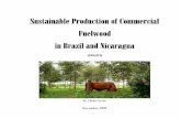 Sustainable Production of Commercial Fuelwood Fuelwood in ...