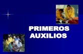 PRIMEROS AUXILIOS - Login