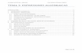TEMA 3: EXPRESIONES ALGEBRAICAS