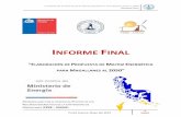 INFORME FINAL - Gobierno Digital
