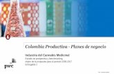 Colombia Productiva - Planes de negocio