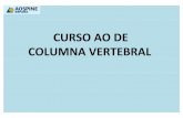 CURSO AO DE COLUMNA VERTEBRAL