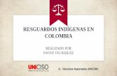 GUÍA – RESGUARDOS INDÍGENAS EN COLOMBIA