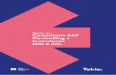 Máster en Consultoría SAP Controlling e Inversiones (CO ...
