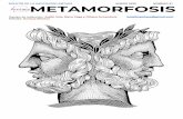 METAMORFOSIS - AMTAES