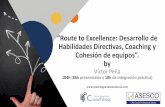 “Route to Excellence: Desarrollo de HabilidadesDirec6vas ...