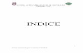 INDICE - Instituto Politécnico Nacional