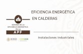 EFICIENCIA ENERGÉTICA EN CALDERAS